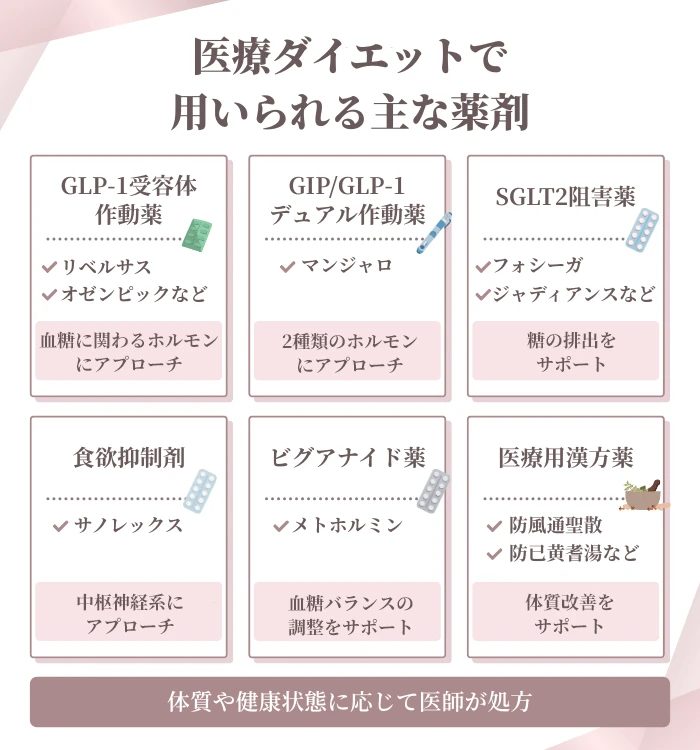 医療ダイエットにおける薬剤の種類と特徴